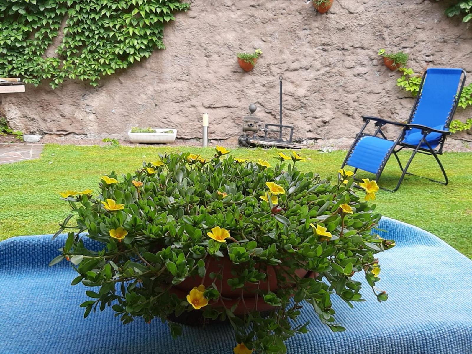 Casa Fornace Appartement Ala Buitenkant foto
